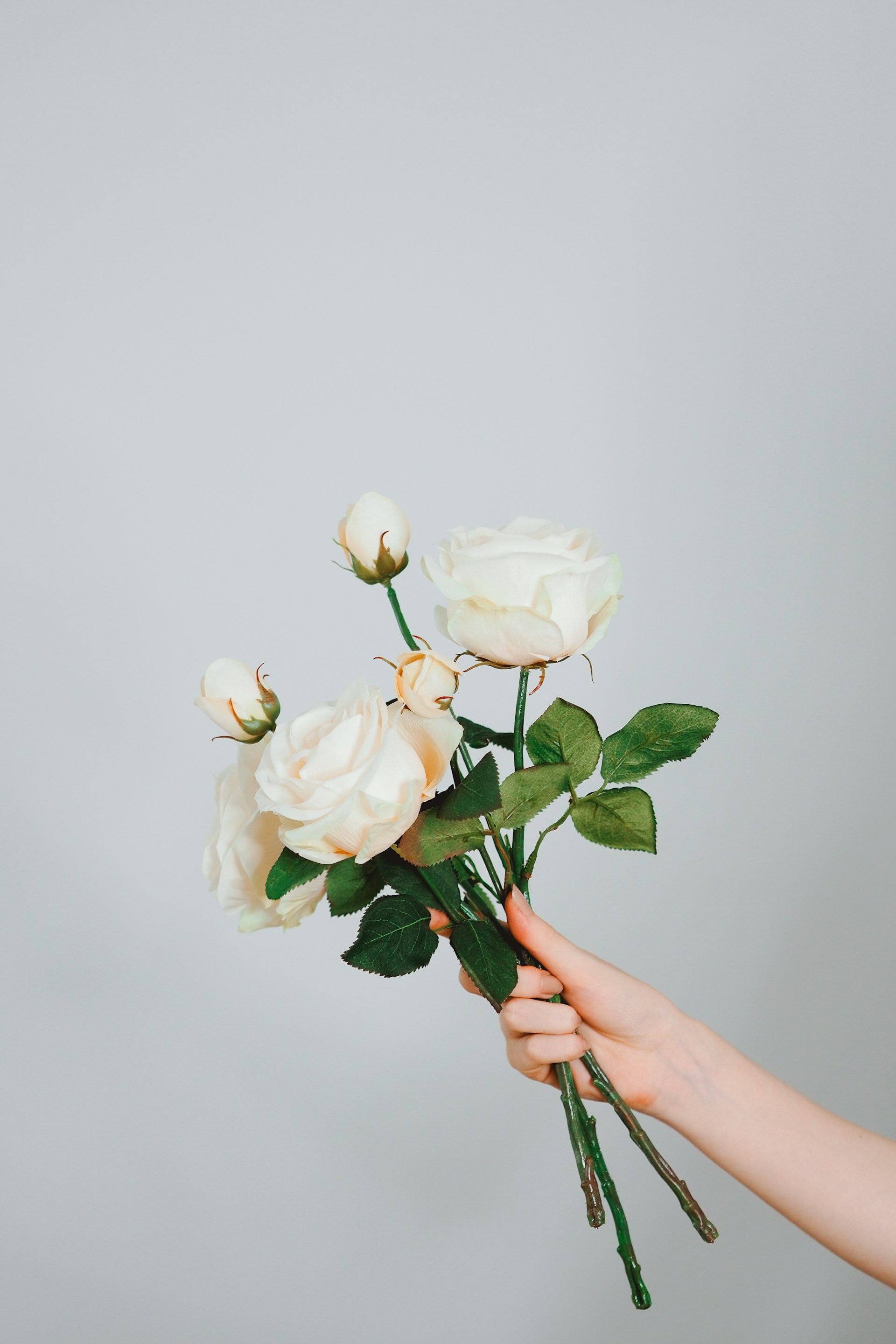 Frumusețe feminină